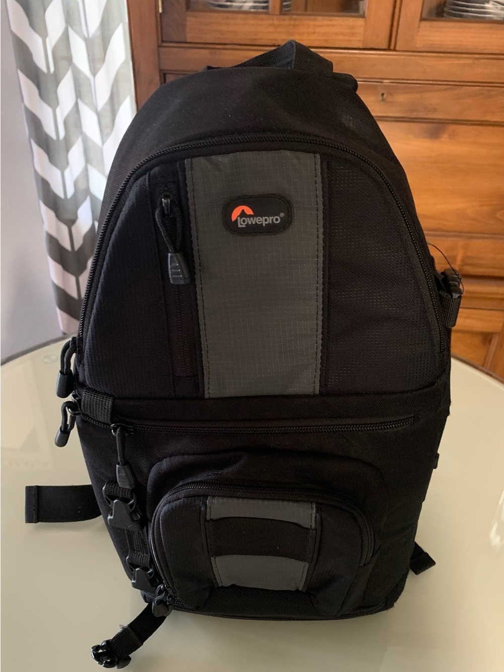 Lowepro Black & Gray Camera Backpack - Compact Protective Case